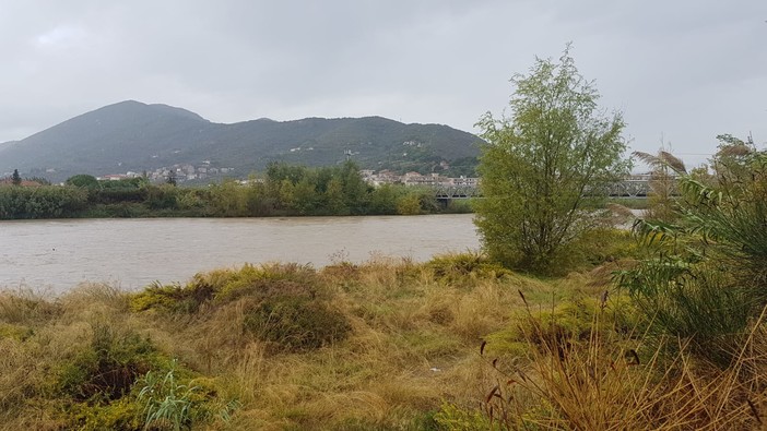 Albenga, eliminate le zone rosse del fiume Centa. Il sindaco Cangiano: "Sbloccata una situazione che durava da anni" Albenga, eliminate le zone rosse del fiume Centa. Il sindaco Cangiano: "Sbloccata una situazione che durava da anni"