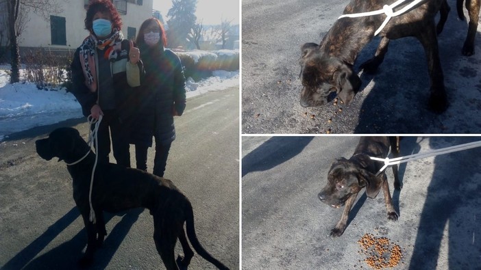 Cane soccorso a Calizzano, i complimenti dell'Accademia Kronos Cane soccorso a Calizzano, i complimenti dell'Accademia Kronos