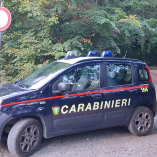 Calizzano, sgominato traffico illecito di cani da caccia: denunciato un cittadino serbo