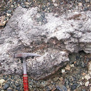 A Sassello domenica giornata dedicata alla Terra A Sassello domenica giornata dedicata alla Terra