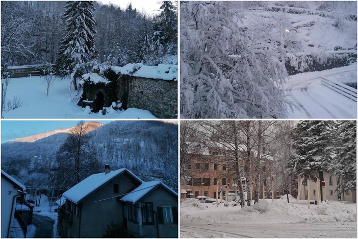 Oltre 30 cm di neve a Calizzano, il sindaco Olivieri: "Buona giornata dalla 'piccola Svizzera'" Oltre 30 cm di neve a Calizzano, il sindaco Olivieri: "Buona giornata dalla 'piccola Svizzera'"