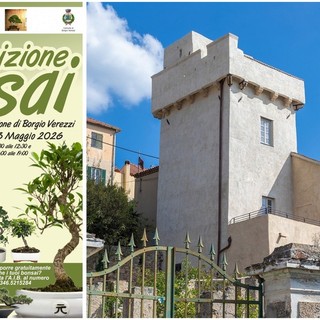 Borgio Verezzi, al torrione “Viaggio nella bellezza della natura, dai bonsai ai confini del mondo”