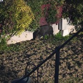 Facebook "Savona E'"