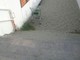 Varazze, ultima domenica di agosto e spunta anche un carrello sulle spiagge Varazze, ultima domenica di agosto e spunta anche un carrello sulle spiagge