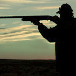 Tar Liguria: una condanna per peculato non fa venir meno il diritto di detenere un'arma