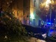 Savona, albero cade nella notte in località Santuario: due scooter danneggiati (FOTO)