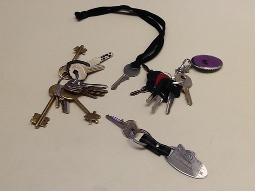 Fare per Fermare il Declino di Savona sostiene la manifestazione sulla cittadinanza a Genova Fare per Fermare il Declino di Savona sostiene la manifestazione sulla cittadinanza a Genova