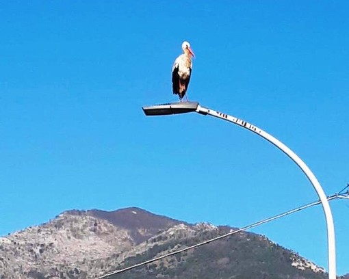 Dall'Enpa: "E' necessario tutelare maggiormente il territorio invece di cancellare 42 aree protette"