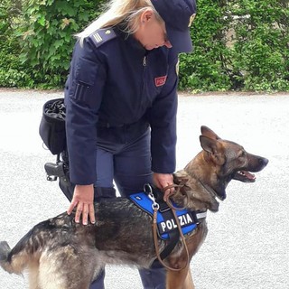 Altare, esercitazione dell'unità cinofila della polizia di stato nella scuola Aldo Capasso