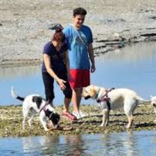 Albenga Loves Dogs, domenica 15 si terrà la manifestazione dedicata agli amici a 4 zampe