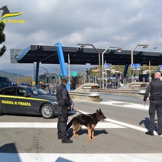 Savona, due arresti per spaccio di droga