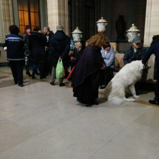 Savona, Pongiglione attacca: &quot;Colpo di mano della maggioranza sull'ordinanza del sindaco&quot;