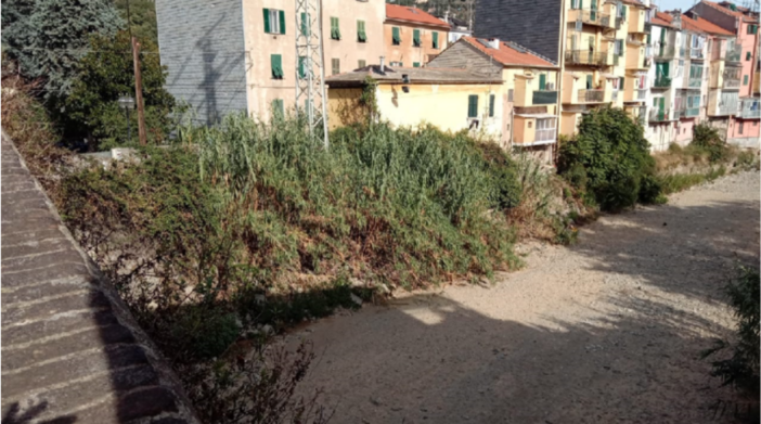 Savona, il Letimbro "erode" le fondamenta di alcuni palazzi a Lavagnola. Assessore Parodi: "Vogliamo coordinare interventi nostri e dei privati, cerchiamo di aiutarli"