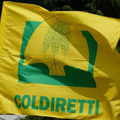 Coldiretti, Ucraina, l’economia di guerra dei giovani italiani