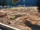 Savona, polemiche sul cimitero di Zinola: "Tolte le tombe senza avviso". Il Comune: "Affissi i cartelli da settembre" Savona, polemiche sul cimitero di Zinola: "Tolte le tombe senza avviso". Il Comune: "Affissi i cartelli da settembre"