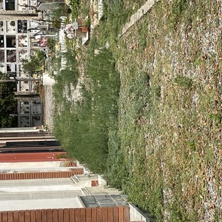 Roberto Tomatis (FdI): “Con il Partito Democratico al governo di Albenga non si può più morire in pace”