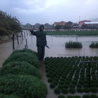 IMU agricola, Sen. Albano PD: "Bene la sospensione, ora nuovi criteri per questo tributo"