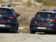 30 cani salvati a Dego, nuovo sopralluogo dei Carabinieri Forestali 30 cani salvati a Dego, nuovo sopralluogo dei Carabinieri Forestali
