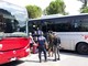 Senza mascherina sull'autobus: multa da 400 euro per due viaggiatori