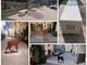 Calizzano, panchine 'smart' e sagome di animali in ferro per delimitare la Ztl (FOTO