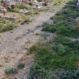 Roberto Tomatis (FdI): "Amministrazione di Albenga con gli occhi bendati ignora lo stato di degrado e l’incuria dei cimiteri"