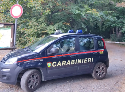 Calizzano, sgominato traffico illecito di cani da caccia: denunciato un cittadino serbo Calizzano, sgominato traffico illecito di cani da caccia: denunciato un cittadino serbo