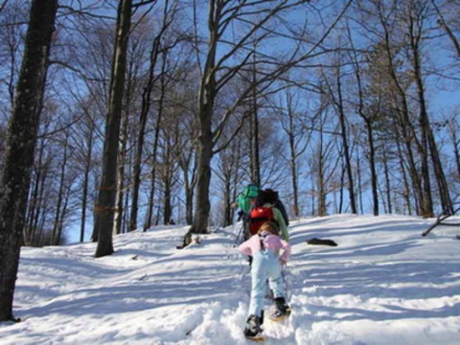 Sul Monte Avzè con le ciaspole. Escursione nel Parco del Beigua Sul Monte Avzè con le ciaspole. Escursione nel Parco del Beigua