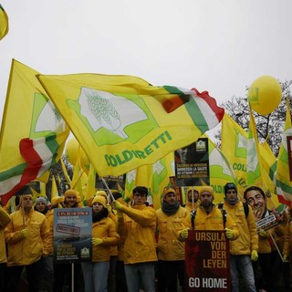 Mercosur, Coldiretti: “Bene il freno del Parlamento Ue, ora servono regole di reciprocità”