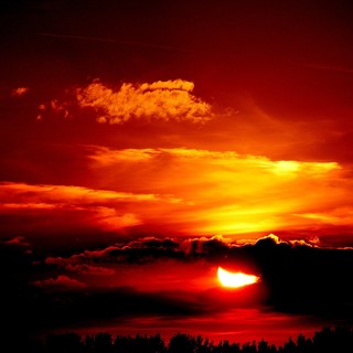 Emergenza caldo: il Comune di Albissola Marina attiva una rete di servizi