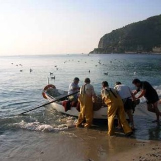 Contrassegnare il pesce ligure con il marchio "pescato in Liguria". Danilo Bruno: "Ma pescato da chi?"