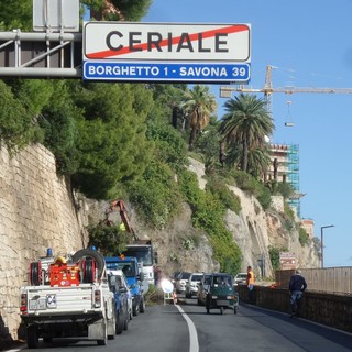 Aurelia: rimozione alberi tra Ceriale e Borghetto. Si procede a senso unico alternato