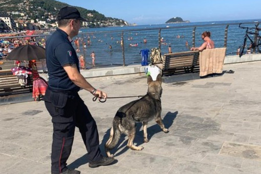 immagine di repertorio