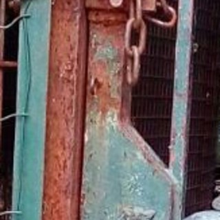 "Cani in una prigione 4X2": la denuncia del Gruppo antipolitico savonese "Cani in una prigione 4X2": la denuncia del Gruppo antipolitico savonese