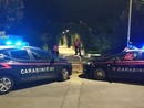 Rompe la vetrata di un negozio e ruba delle scarpe: arrestato dai carabinieri a Varazze Rompe la vetrata di un negozio e ruba delle scarpe: arrestato dai carabinieri a Varazze