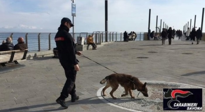 Controlli dei carabinieri nel savonese, 10 le sanzioni per le violazioni delle norme anti Covid Controlli dei carabinieri nel savonese, 10 le sanzioni per le violazioni delle norme anti Covid