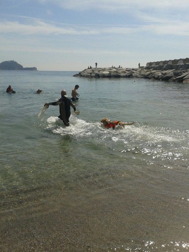 Cani da salvataggio e sub oggi in una straordinaria esibizione sulle spiagge di Alassio