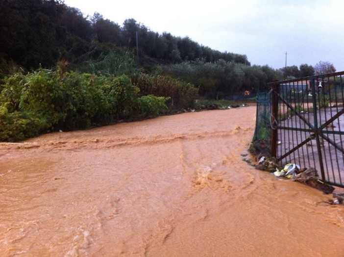 Albenga: canile sotto l'acqua a causa del maltempo