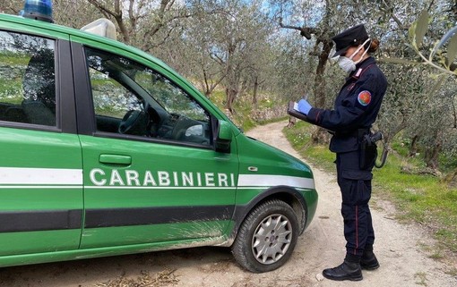 In spiaggia o nei boschi in barba al decreto anti Coronavirus: proseguono i controlli dei carabinieri In spiaggia o nei boschi in barba al decreto anti Coronavirus: proseguono i controlli dei carabinieri