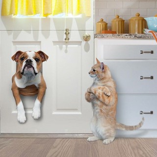 Al Conad di Finale Ligure sabato raccolta alimentare pro canile