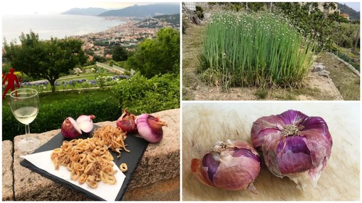 Verezzi svela i segreti della sua ultima De.Co: alle 19 la tavola rotonda "A Verezzi la cipolla è social"