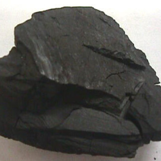 Verdi: una riflessione sulla manifestazione anticarbone