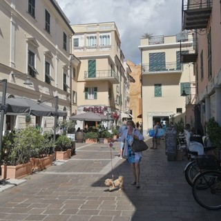 Topi che girano tra i tavoli di bar e ristoranti a Spotorno. Consigliere Spiga: "Opportuno riorganizzare una sanificazione"
