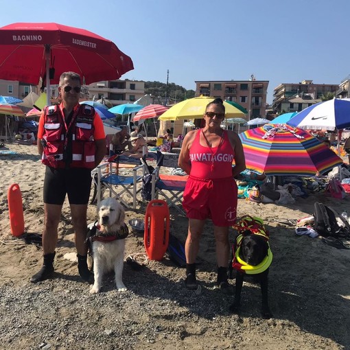 Salvano un turista ucraino in difficoltà in mare: ad Albissola tempestivi i cani eroi Mokha e Max Salvano un turista ucraino in difficoltà in mare: ad Albissola tempestivi i cani eroi Mokha e Max