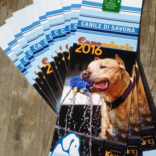 E' arrivato il "canendario 2016" del canile di Savona E' arrivato il "canendario 2016" del canile di Savona