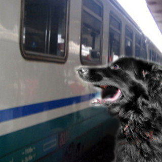 "Il cane sul treno non può viaggiare? Noi dell'Enpa valuteremo alcune ipotesi di reato"