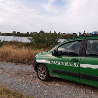 Incendio boschivo ad Andora, piromane denunciata dai Forestali Incendio boschivo ad Andora, piromane denunciata dai Forestali