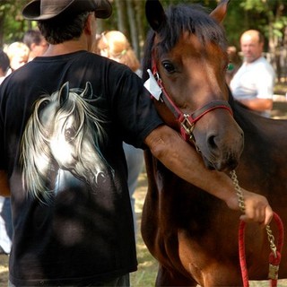 Il freddo in arrivo dall'Artico "frena" lo show "Borghetto West"