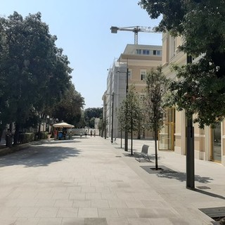 Savona, i banchi dei fiori si sposteranno il lunedì in corso Italia. Assessore Zunato: "Si conclude così la sistemazione dell'area mercatale" Savona, i banchi dei fiori si sposteranno il lunedì in corso Italia. Assessore Zunato: "Si conclude così la sistemazione dell'area mercatale"