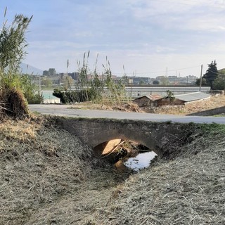 Albenga, pulizia del rio Carenda. Il vice sindaco Passino: "Intervenuti anche su tratti a monte"