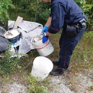 Cosseria, abbandono di rifiuti in Val Cummi: 600 euro di multa al trasgressore